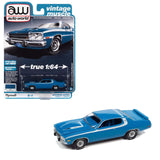 Auto World - 1973 Plymouth Road Runner - 2022 Vintage Muscle Series - Top CollectiblesDiecastAuto World
