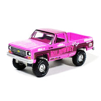 Auto World - Shirley Muldowney 1973 Chevrolet Cheyenne 4x4 - 2022 Las Vegas Super Convention *House of Cars Exclusive* - Top CollectiblesDiecastAuto World